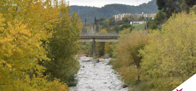 Davant la sequera i l’escassetat d’aigua, garantim aquest dret humà per a totes!